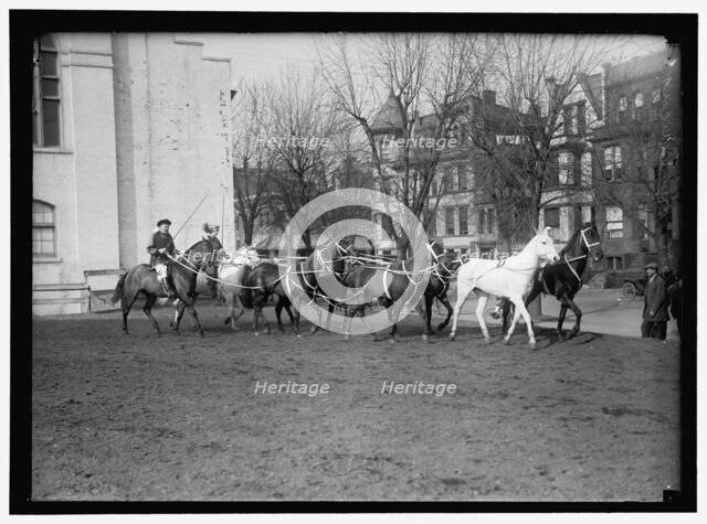 Society Circus, between 1910 and 1917. Creator: Harris & Ewing.