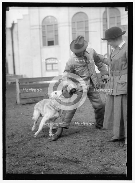 Society Circus, between 1910 and 1917. Creator: Harris & Ewing.