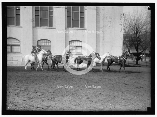 Society Circus, between 1910 and 1917. Creator: Harris & Ewing.