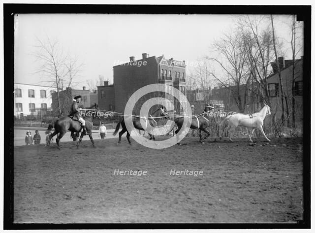 Society Circus, between 1910 and 1917. Creator: Harris & Ewing.