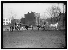 Society Circus, between 1910 and 1917. Creator: Harris & Ewing
