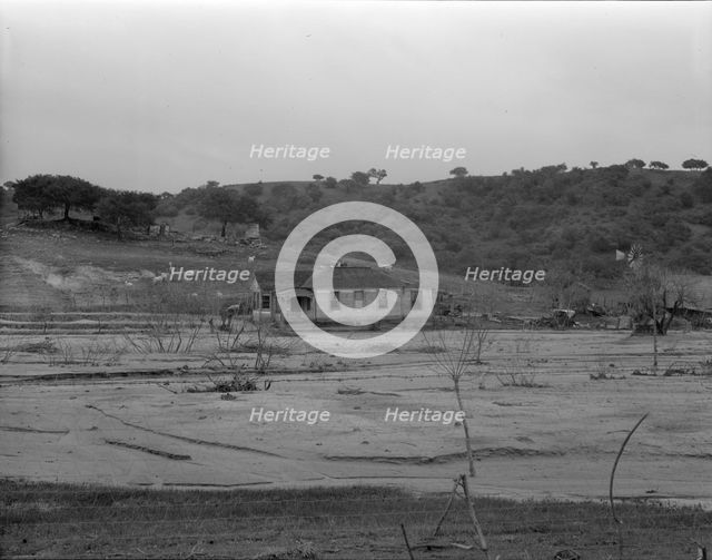 Soil erosion at Arroyo Grande, California, 1936. Creator: Dorothea Lange.