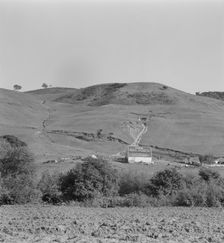 Soil erosion in California hills, small dairy ranch near Gibson, California, 1937. Creator: Dorothea Lange