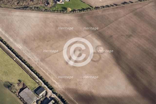 Soil marks on Houghton Down, near Danebury, Hampshire, 2018. Creator: Historic England Staff Photographer.