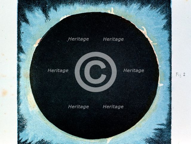 Solar corona and prominences 1860 (1870).   Creator: Anon.