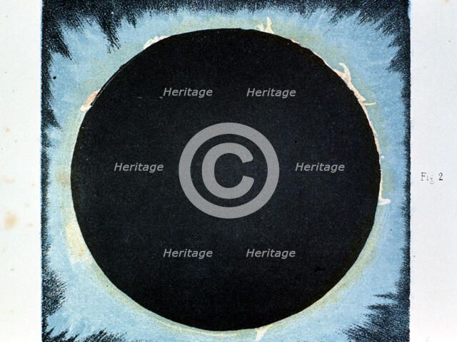 Solar corona and prominences 1860 (1870).   Artist: Anon