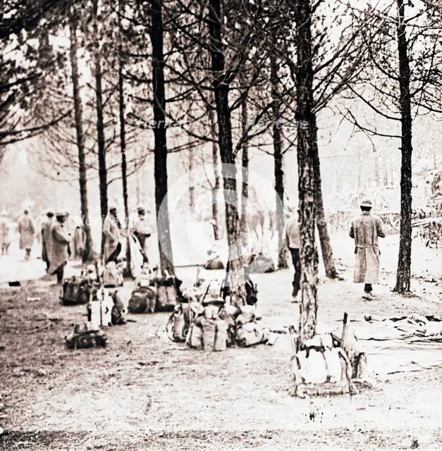 Soldiers and packs in woods, c1914-c1918. Artist: Unknown.