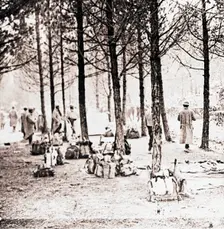 Soldiers and packs in woods, c1914-c1918