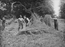 Soldiers assisting the farmers by getting in the hay 1915