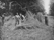 Soldiers assisting the farmers by getting in the hay 1915