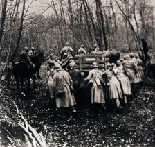 Soldiers in the woods, c1914-c1918