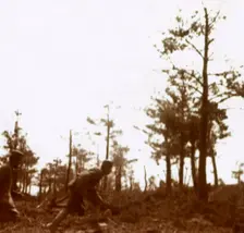 Soldiers running on the battlefield, c1914-c1918