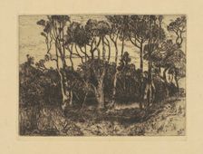 Solitude, 1880. Creator: Mary Nimmo Moran