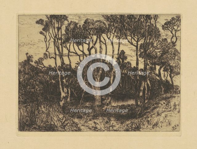 Solitude, 1880. Creator: Mary Nimmo Moran.