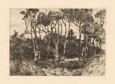 Solitude, 1880. Creator: Mary Nimmo Moran