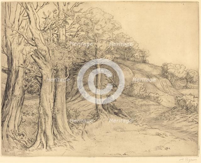 Solitude (Solitude (Paysage)). Creator: Alphonse Legros.