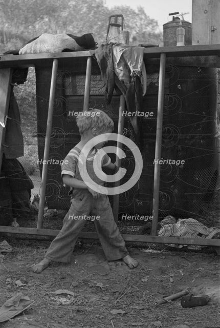 Son of destitute migrant, American River camp, near Sacramento, California, 1936. Creator: Dorothea Lange.