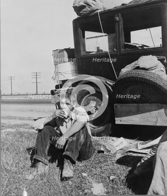 Son of depression refugee from Oklahoma now in California, 1936. Creator: Dorothea Lange.