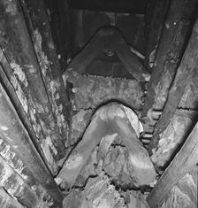 Son of tenant farmer hanging up strung tobacco..., Shoofly, North Carolina, 1939. Creator: Dorothea Lange