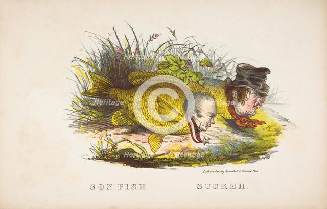 Son Fish and Sucker, from The Comic Natural History of the Human Race, 1851. Creators: Henry Louis Stephens, L. Rosenthal.