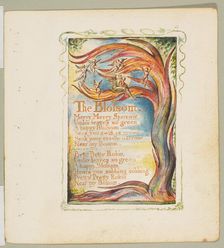 Songs of Innocence and of Experience: The Blossom: Merry Merry Sparrow, ca. 1825. Creator: William Blake