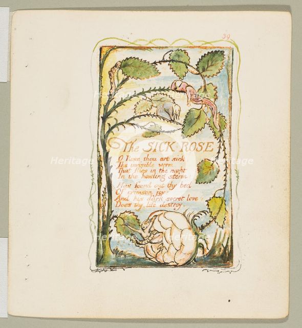 Songs of Innocence and of Experience: The Sick Rose, ca. 1825. Creator: William Blake.