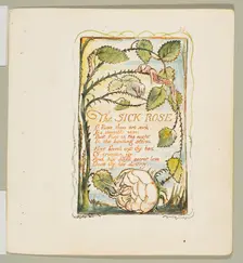 Songs of Innocence and of Experience: The Sick Rose, ca. 1825. Creator: William Blake