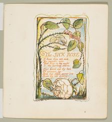 Songs of Innocence and of Experience: The Sick Rose, ca. 1825. Creator: William Blake