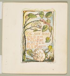 Songs of Innocence and of Experience: The Sick Rose, ca. 1825. Creator: William Blake
