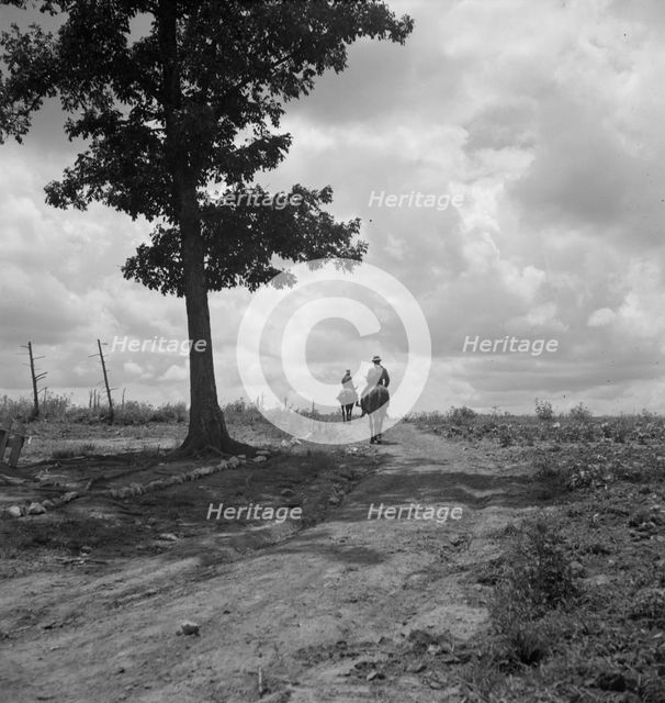 Sons of Negro tenant farmer go off visiting on Saturday..., Granville County, North Carolina, 1939. Creator: Dorothea Lange.