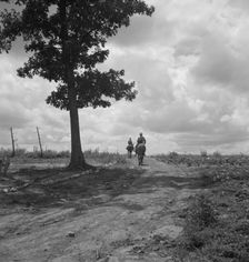 Sons of Negro tenant farmer go off visiting on Saturday..., Granville County, North Carolina, 1939. Creator: Dorothea Lange