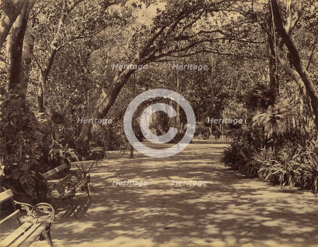 Sookh-Vilas Palace Garden, 1880-90. Creator: Lala Deen Dayal.