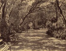 Sookh-Vilas Palace Garden, 1880-90. Creator: Lala Deen Dayal