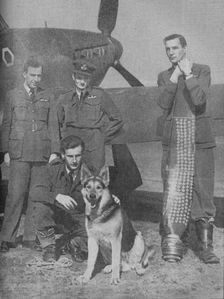 Soon They Will Need a New Score Board 1941