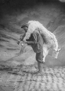 S.A. Crawford carrying a goat, 1905. Creator: Case & Draper