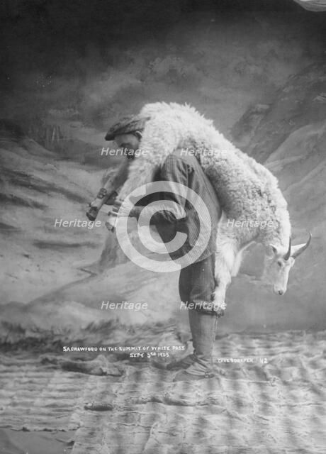 S.A. Crawford carrying a goat, 1905. Creator: Case & Draper.