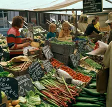 Saturday morning market in Leiden. Artist: CM Dixon