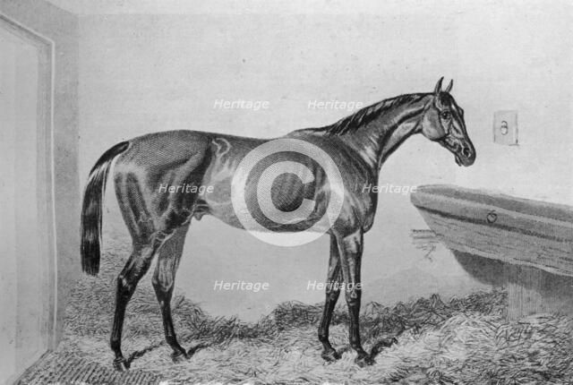 'Saucebox', c1840-1880, (1911). Artist: Unknown.