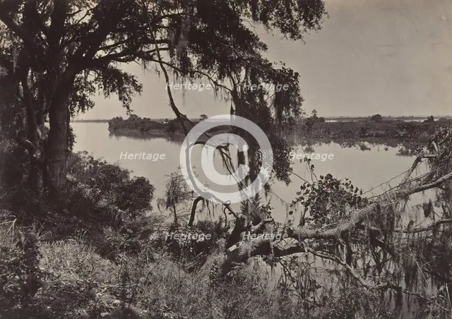 Savanah River, Near Savanah, Georgia, 1860s. Creator: George N. Barnard.