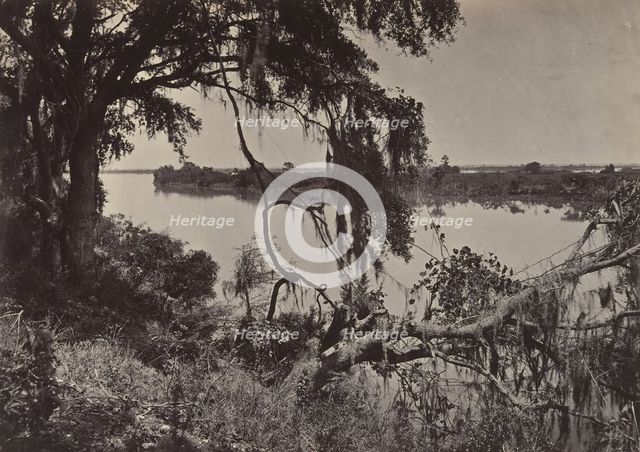 Savanah River, Near Savanah, Georgia, 1860s. Creator: George N. Barnard.