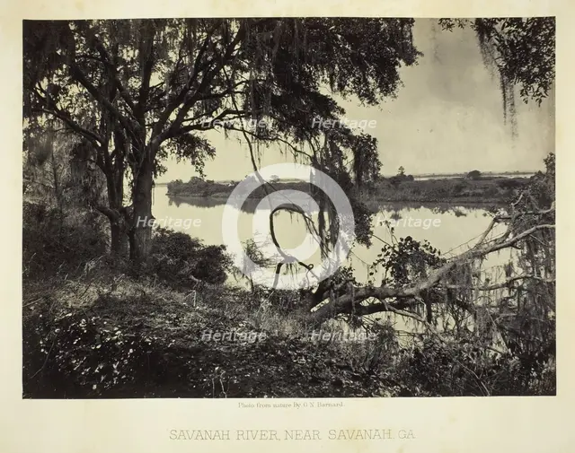 Savannah River, near Savannah, GA, 1866. Creator: George N. Barnard.