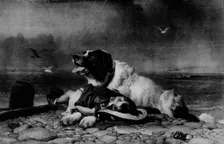 Saved! c1856, (1911). Artist: Edwin Henry Landseer