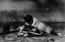 Saved! c1856, (1911). Artist: Edwin Henry Landseer
