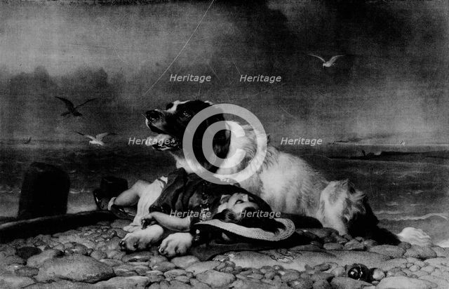 'Saved!', c1856, (1911). Artist: Edwin Henry Landseer.