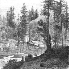 'Saw mill in a forest of pines.; Ocean to Ocean, the Pacific railroad 1875. Creator: Frederick Whymper