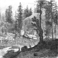 'Saw mill in a forest of pines.; Ocean to Ocean, the Pacific railroad 1875. Creator: Frederick Whymper
