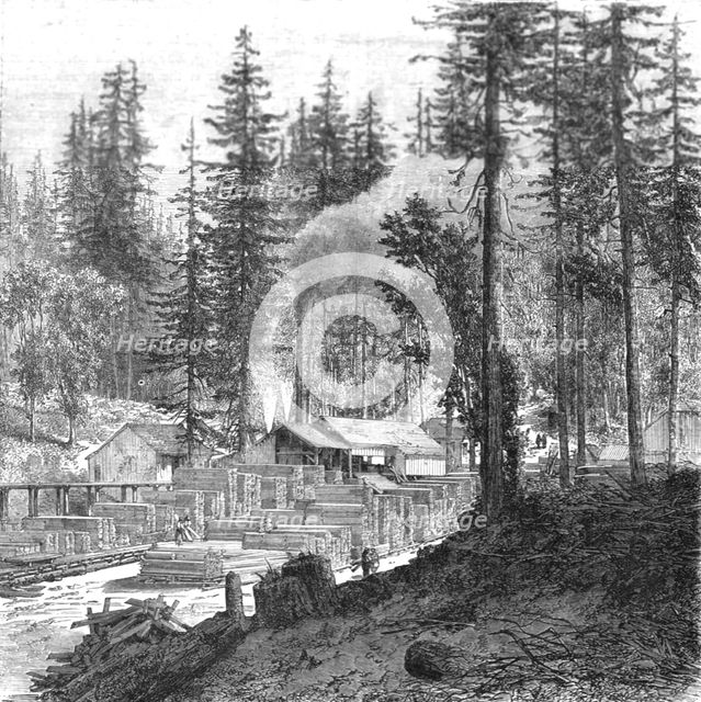 ''Saw mill in a forest of pines.; Ocean to Ocean, the Pacific railroad', 1875. Creator: Frederick Whymper.