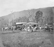 Saw mill, possibly Coomera region, Queensland, c1880s. Creator: Robert Augustus Henry L'Estrange