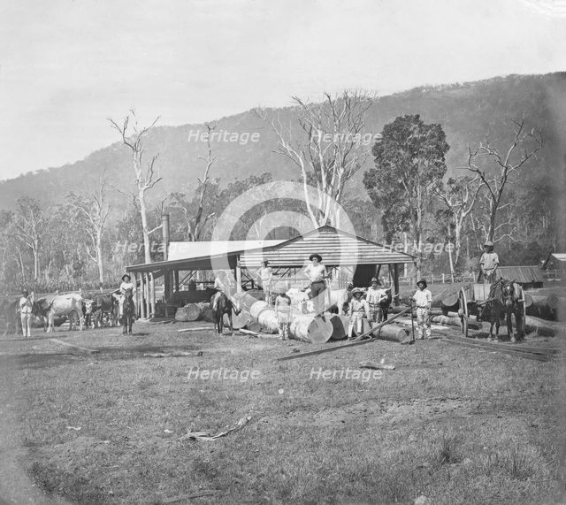Saw mill, possibly Coomera region, Queensland, c1880s. Creator: Robert Augustus Henry L'Estrange.