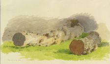 Sawed-off tree trunks in front of a wall in Oberwesel, 1858. Creator: Carl Theodor Reiffenstein